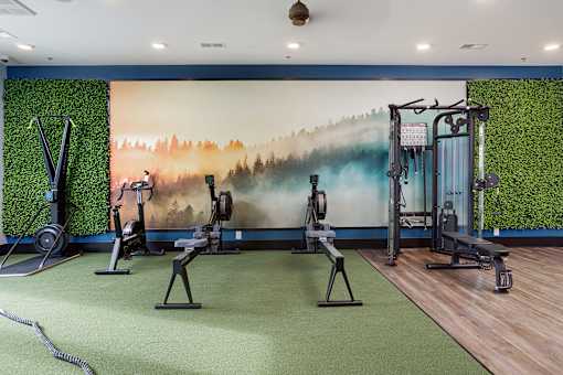 A gym with a green wallpaper and a variety of equipment.