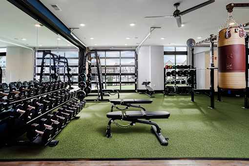 A gym with a green floor and a variety of equipment.