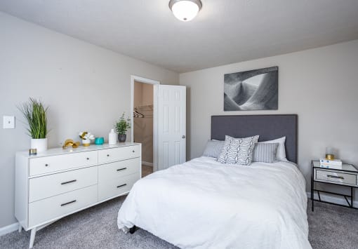 a bedroom with a bed and a dresser and a closet