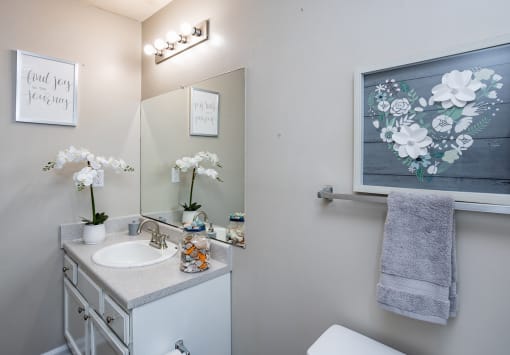 a bathroom with a sink and a mirror and a towel rack