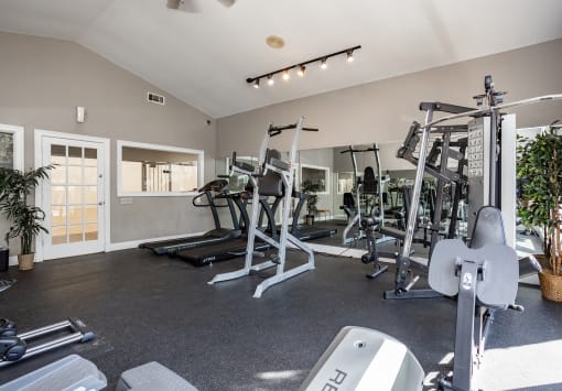 a gym with cardio machines and weights on the floor