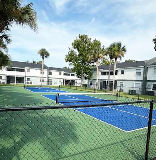 A tennis court surrounded by a fence and palm trees.