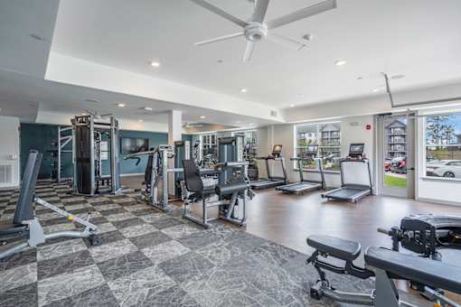 A spacious gym with a variety of equipment including treadmills, weights, and a bench press.