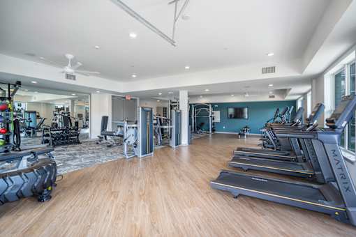 A gym with treadmills and exercise equipment.