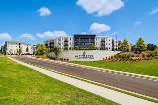 The Collier apartments are located on a tree-lined street.