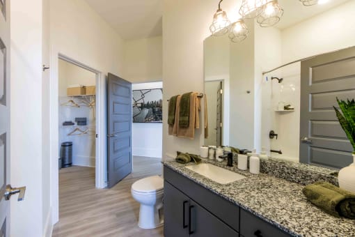 a bathroom with a sink and a toilet and a mirror