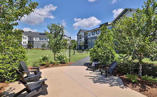 A sunny day at a park with chairs and trees.