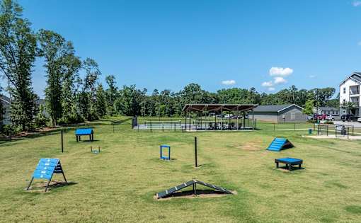 A park with a blue bench and a black object in the middle of the grass.