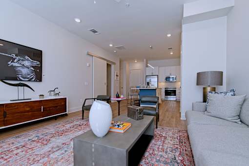 the rise living area