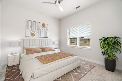 A bedroom with a large bed, a ceiling fan, and a plant.