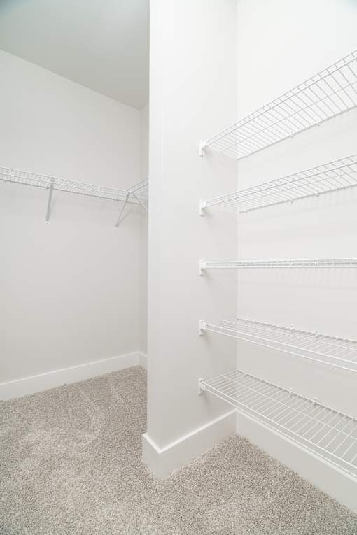 A white closet with shelves and a carpeted floor.