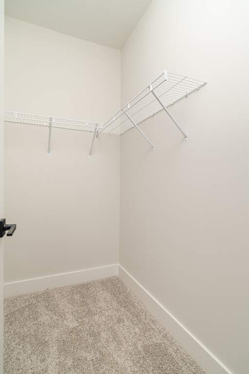 A white closet with a carpeted floor and a white shelf.