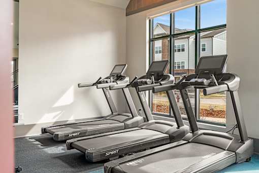 A row of treadmills are lined up in a gym.