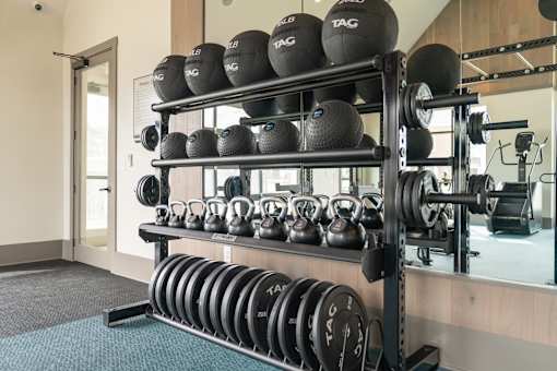 A gym with a rack of weights and kettlebells.