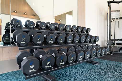 A rack of black dumbbells with white and blue tags indicating weight in pounds.