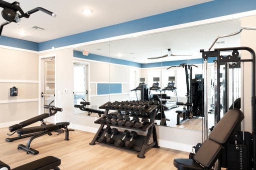Pet-Friendly Luxury Apartments in Alcoa, TN - Vintage Hunters Crossing - Fitness Center with Strength Training and Cardio Equipment, Weight Benches, Free Weights, and Large Mirrors.