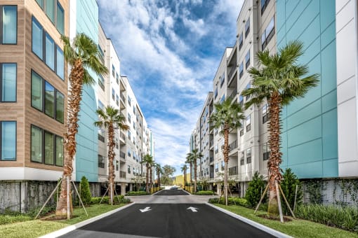 an empty street between tall buildings and palm trees
