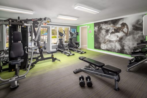 a large fitness room with exercise equipment and a large mural on the wall  at Waterview at Rocky Point, Florida, 33634
