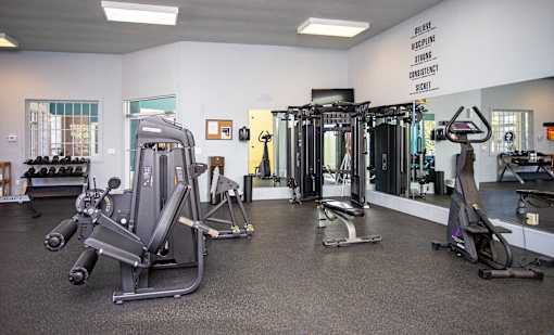 A gym with a variety of equipment including a leg press machine, a chest press machine, a leg curl machine, a leg extension machine, a lat pulldown machine, a seated calf raise machine, a leg press machine,