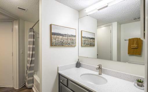 A bathroom with a white sink and a mirror.