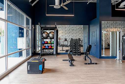 A gym with a variety of equipment including a squat rack, bench, and weights.