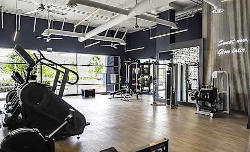A gym with a variety of equipment including treadmills, weights, and a squat rack.