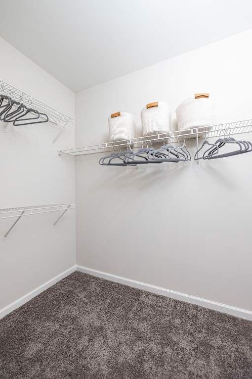 A white closet with grey carpet and two shelves with hangers and jars.