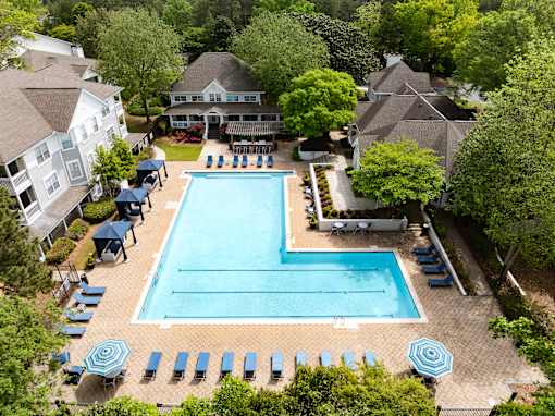 An aerial view of a swimming pool surrounded by trees and umbrellas.