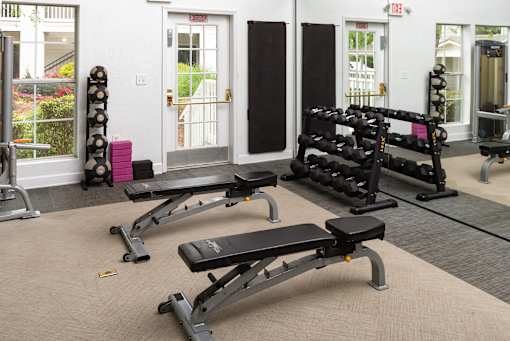 A gym with a row of bench presses and a window in the background.