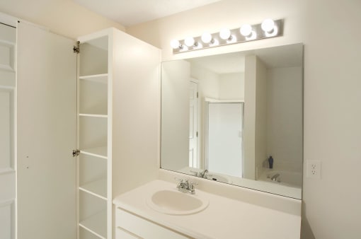 bathroom vanity with linen closet