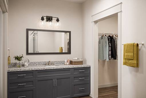 a bathroom with a sink and a mirror and a closet