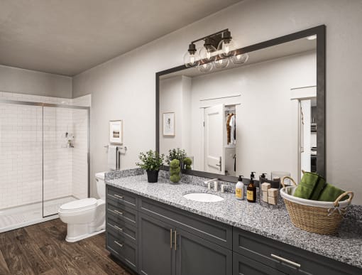 a bathroom with a large mirror and a sink