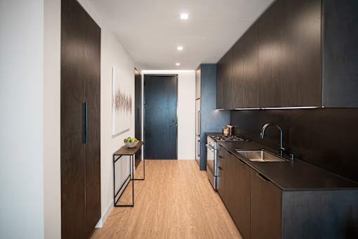 Dark kitchen cabinets and quartz counters,