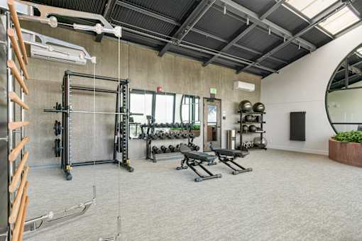Free Weights