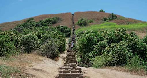 Culver City Stairs at the Baldwin Hills Overlook