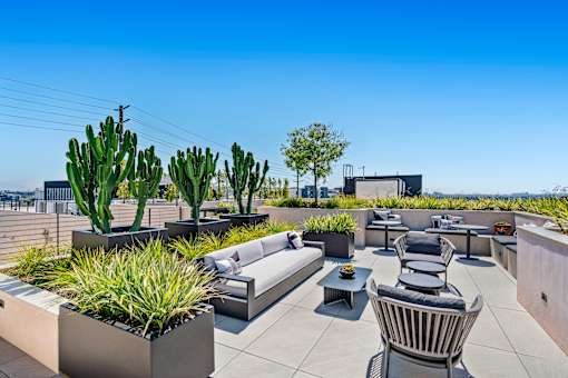 Rooftop lounge