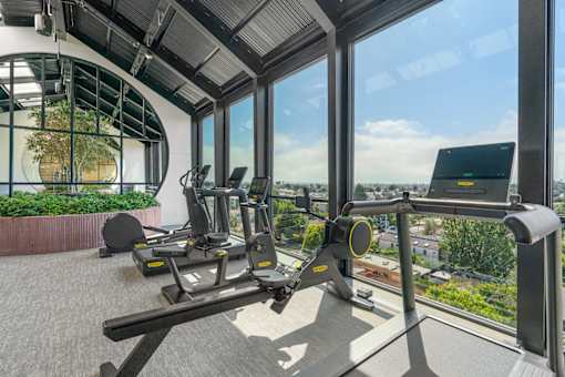 Workout with a view
