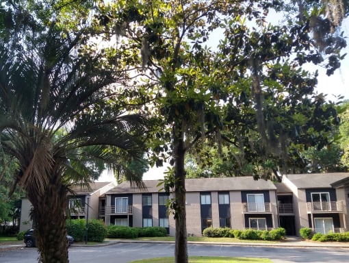 the building where the apartment is located