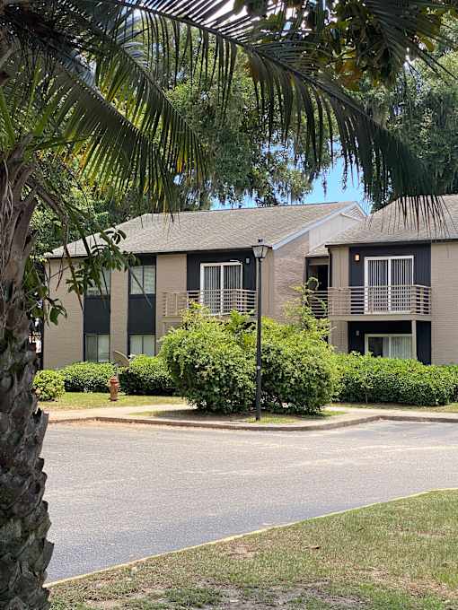 A house with a driveway and a palm tree in front.