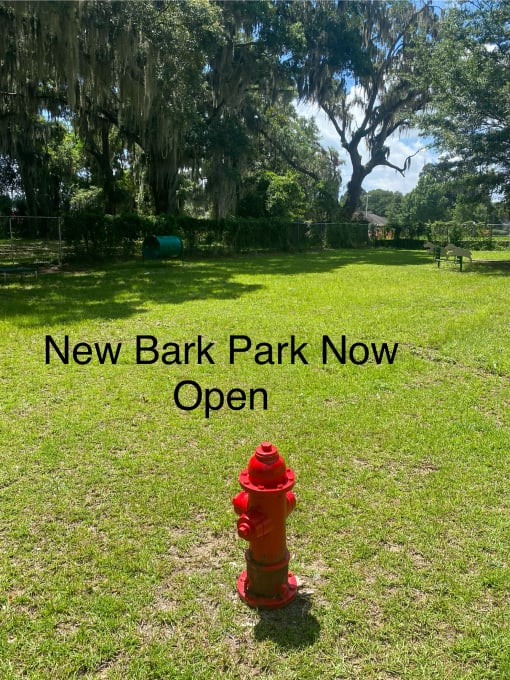 The New Bark Park