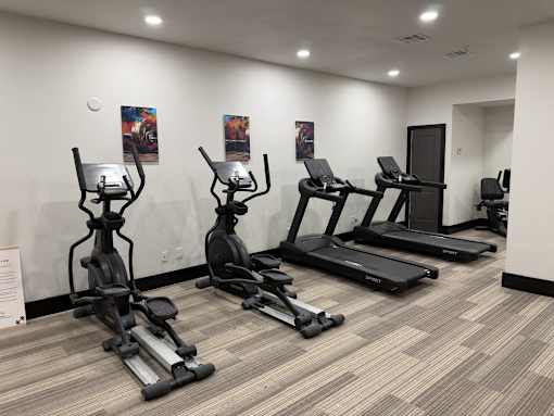 A gym with treadmills, elliptical machines, and a weight bench.