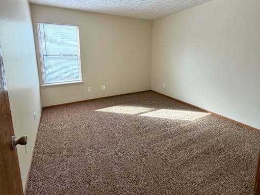 A room with a carpeted floor and a window letting in sunlight.