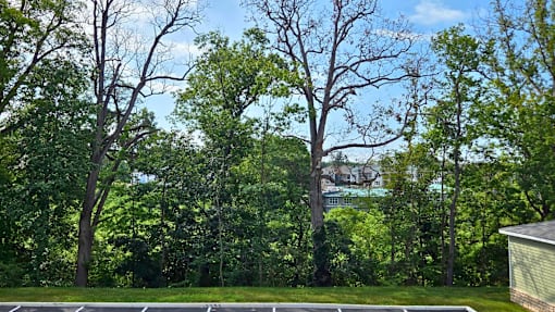 Enjoy wooded views from your new patio/balcony, available at select units at Greenwood Commons Apartments.