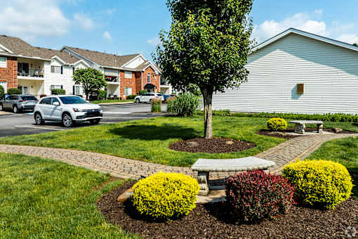 A tree in a garden with a white bench and a house in the background.