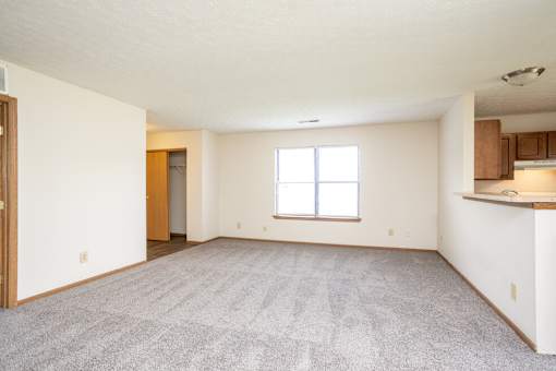 A large empty room with a carpeted floor and a window.