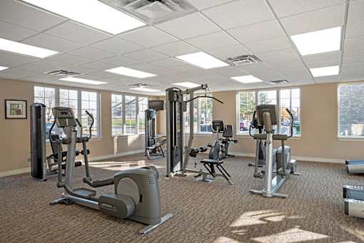Fitness Center With Modern Equipment at The Apartments at Elmwood Terrace, Maryland, 21702