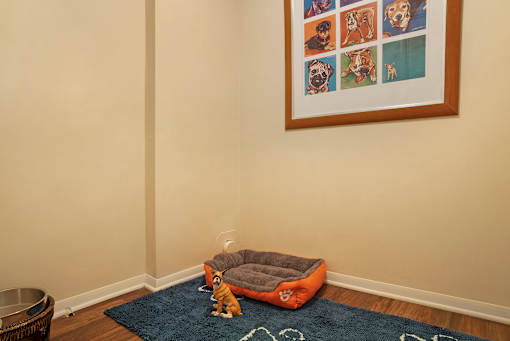 Pet area at The Apartments at Elmwood Terrace, Frederick, 21702