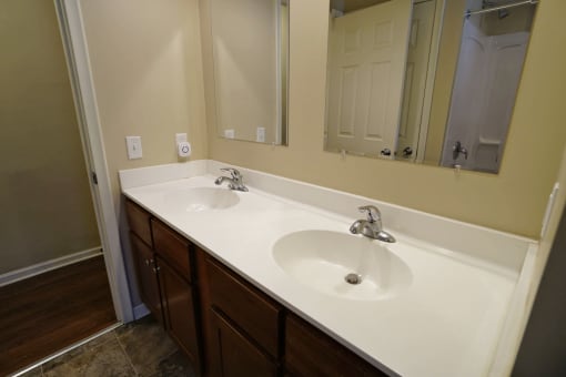 Wuthering Heights Bathroom, Eagan, Minnesota