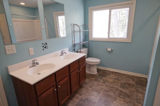 Wuthering Heights Bathroom, Eagan, Minnesota
