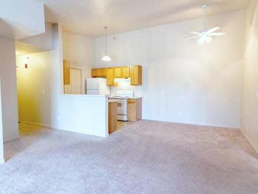spacious one bedroom apartment in Taylor MI